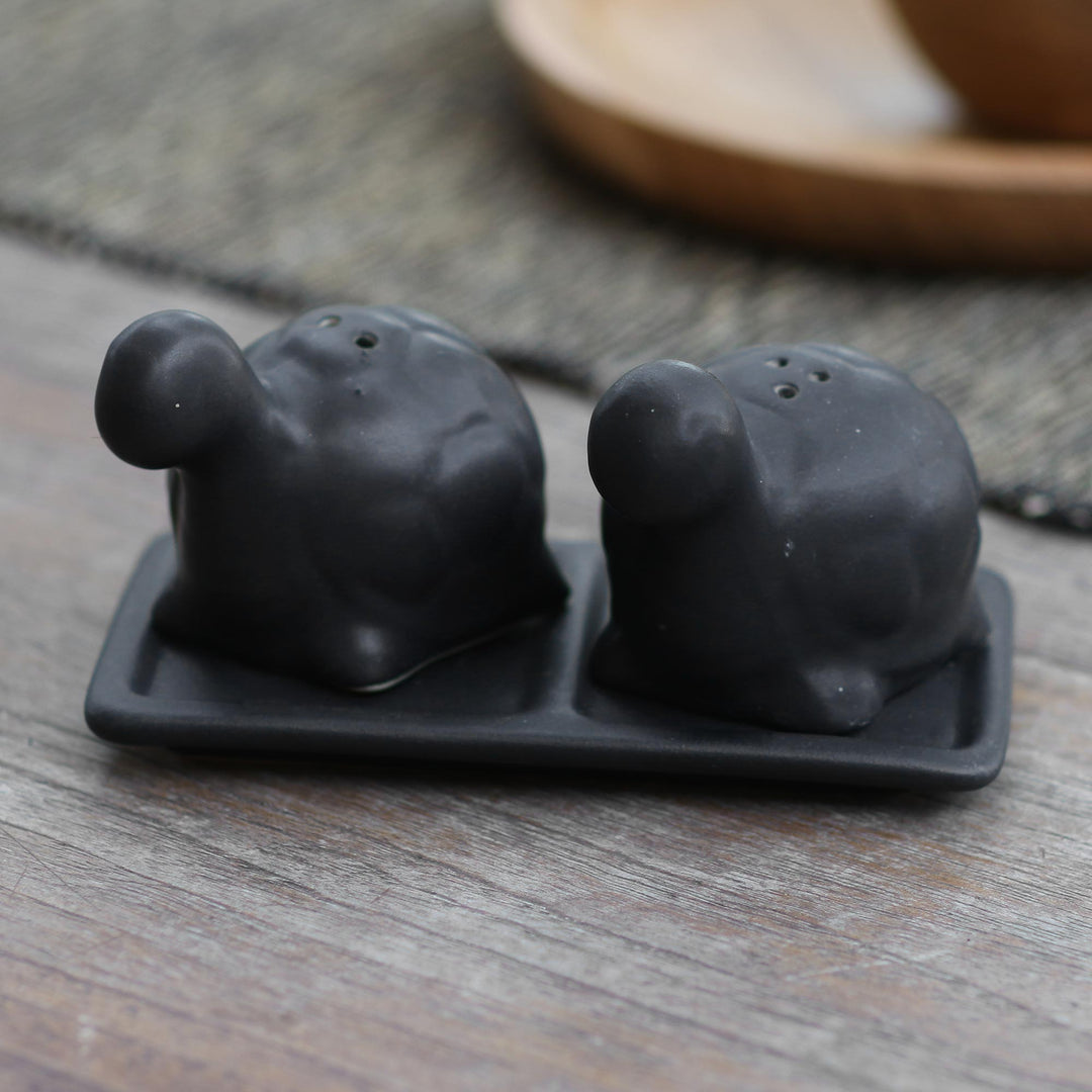 Matte Black Ceramic Turtle Salt and Pepper Shakers with Tray - Tortoise Friends in Black