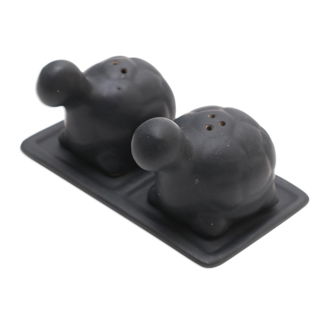 Matte Black Ceramic Turtle Salt and Pepper Shakers with Tray - Tortoise Friends in Black