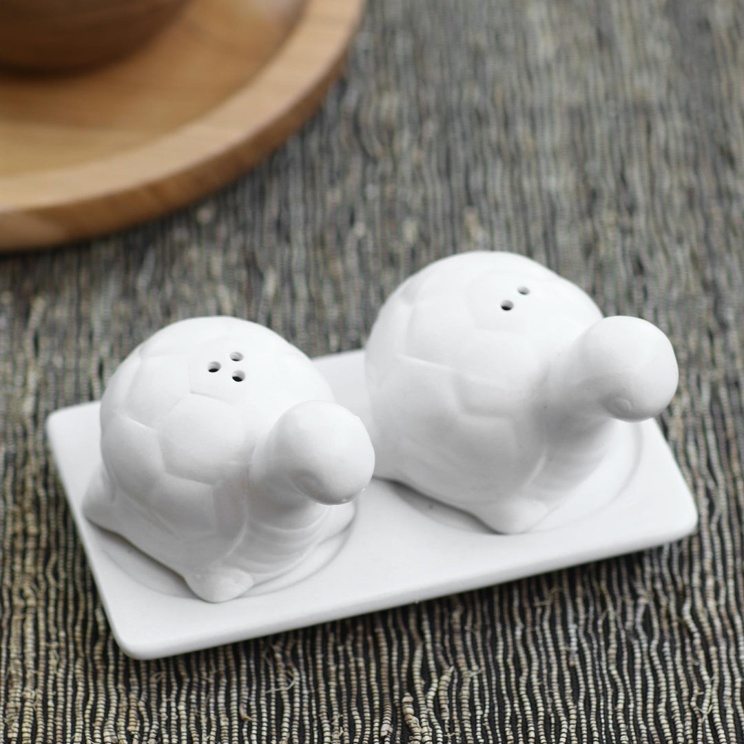 Tortoise Friends in White