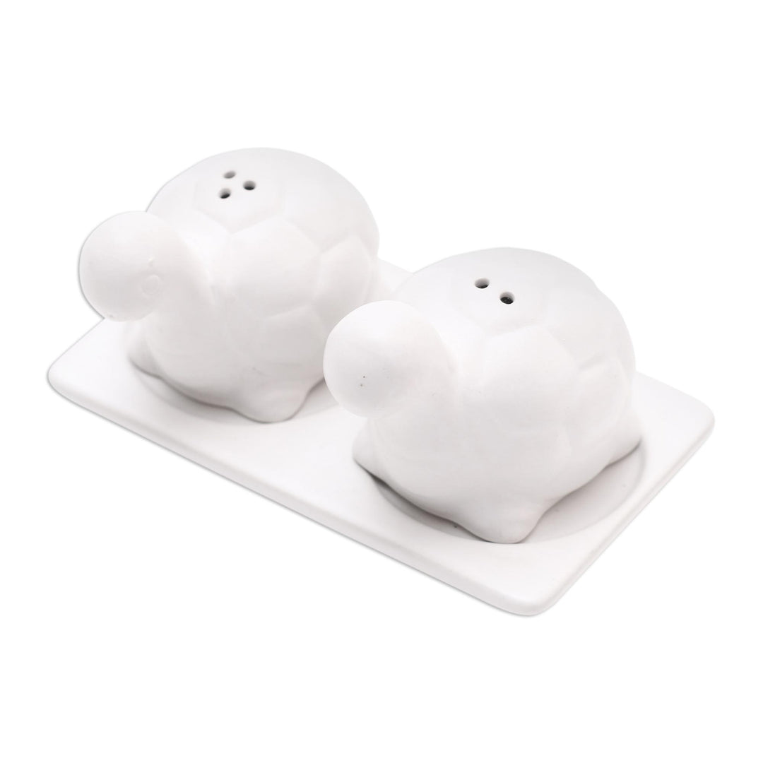 Matte White Ceramic Turtle Salt and Pepper Shakers with Tray - Tortoise Friends in White