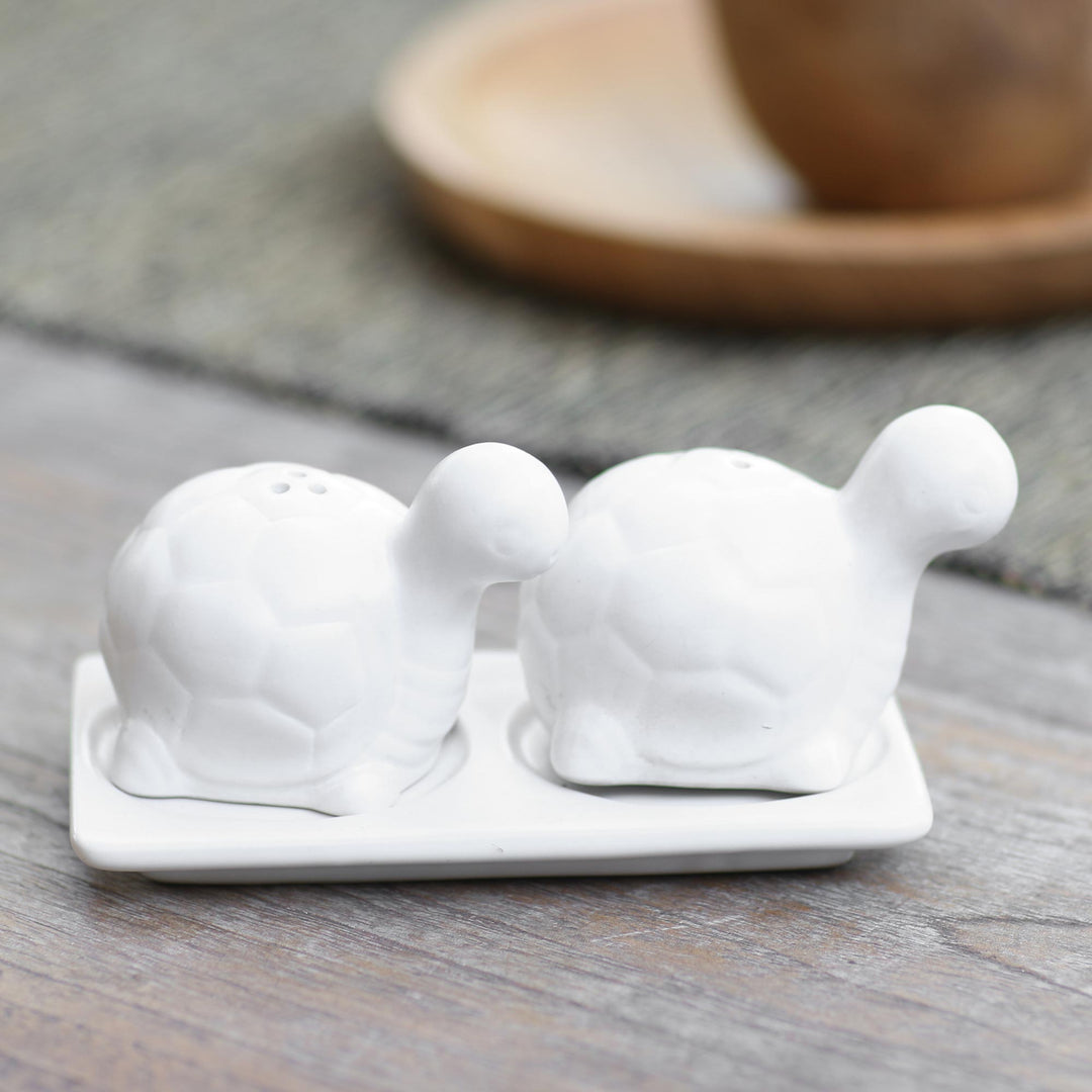 Matte White Ceramic Turtle Salt and Pepper Shakers with Tray - Tortoise Friends in White