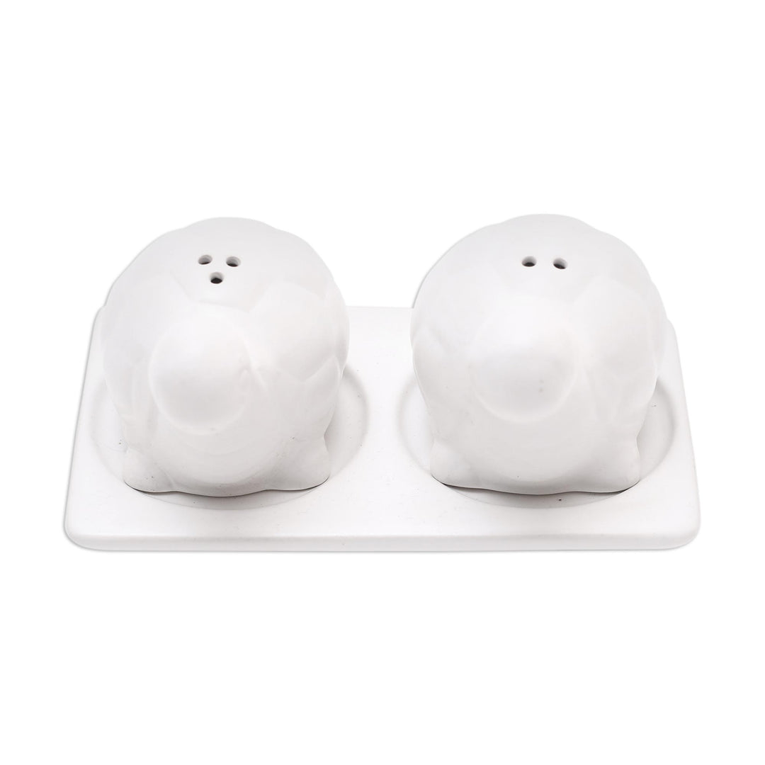 Matte White Ceramic Turtle Salt and Pepper Shakers with Tray - Tortoise Friends in White