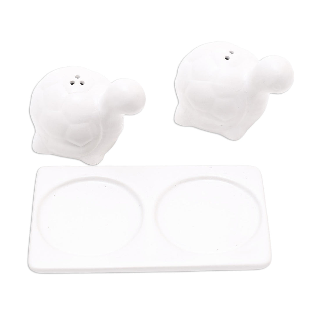 Matte White Ceramic Turtle Salt and Pepper Shakers with Tray - Tortoise Friends in White