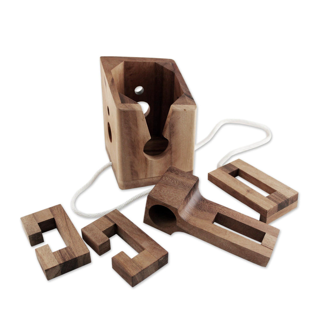 Handmade Rain Tree Wood Bottle Puzzle from Thailand - Don't Break It
