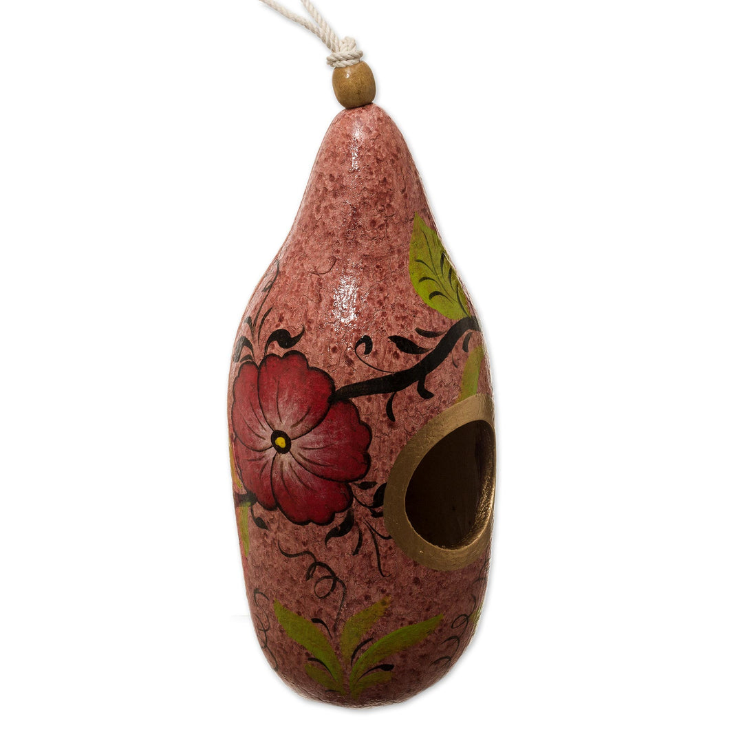 Hand Painted Gourd Birdhouse from Peru - Blossoms on Blush