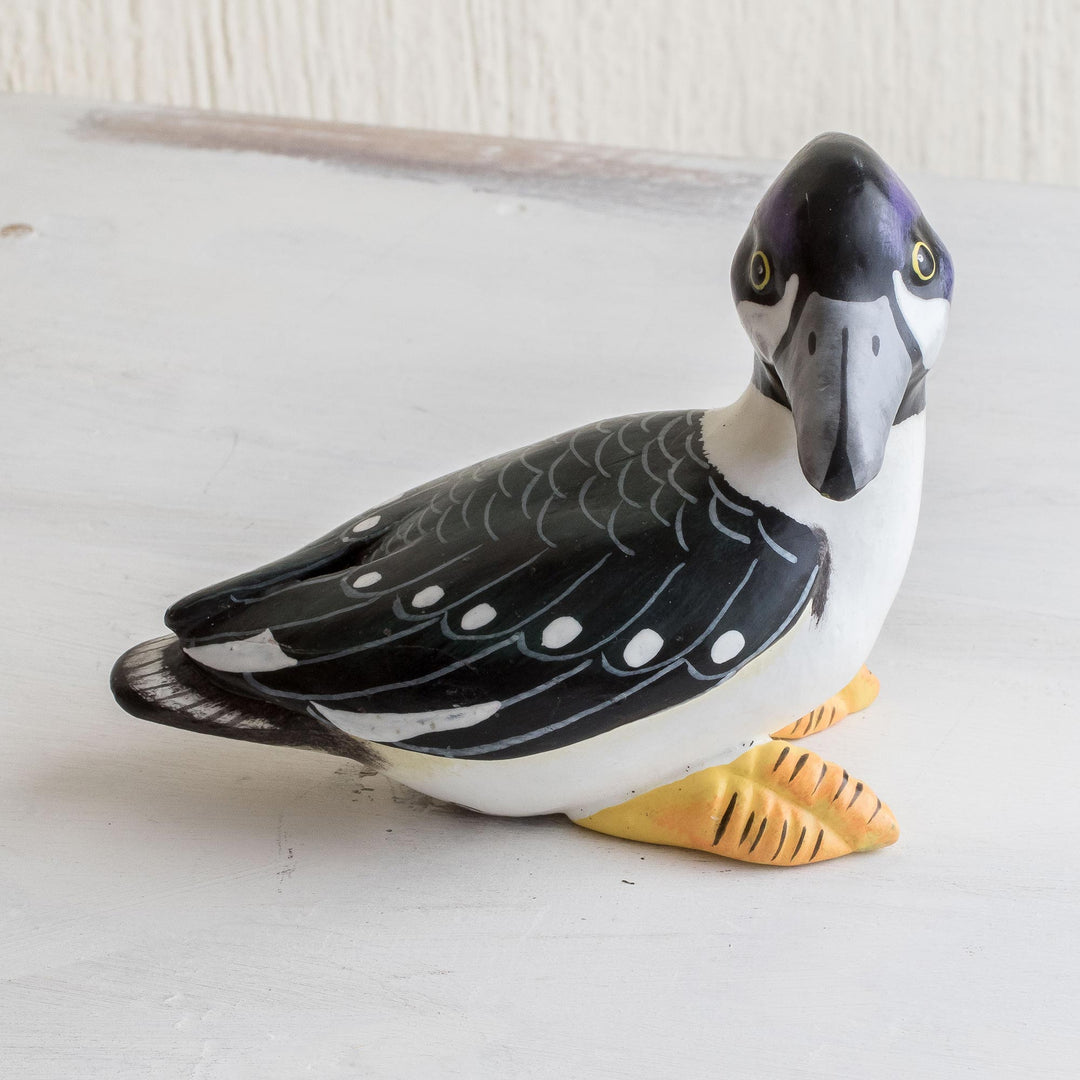 Barrows Goldeneye Duck