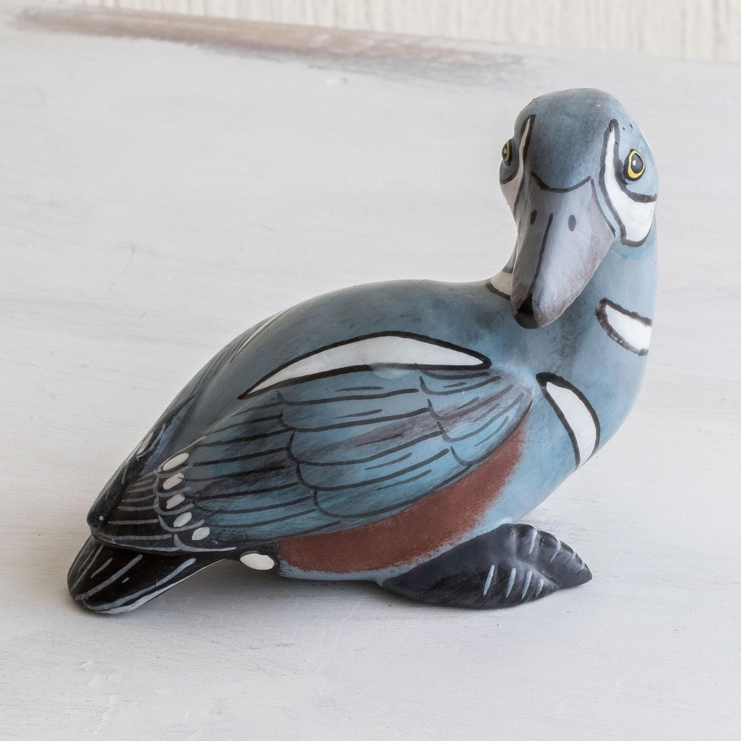 Male Harlequin Duck