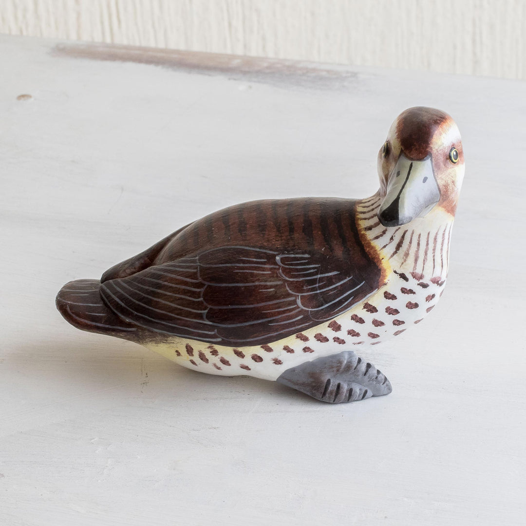 Masked Duck