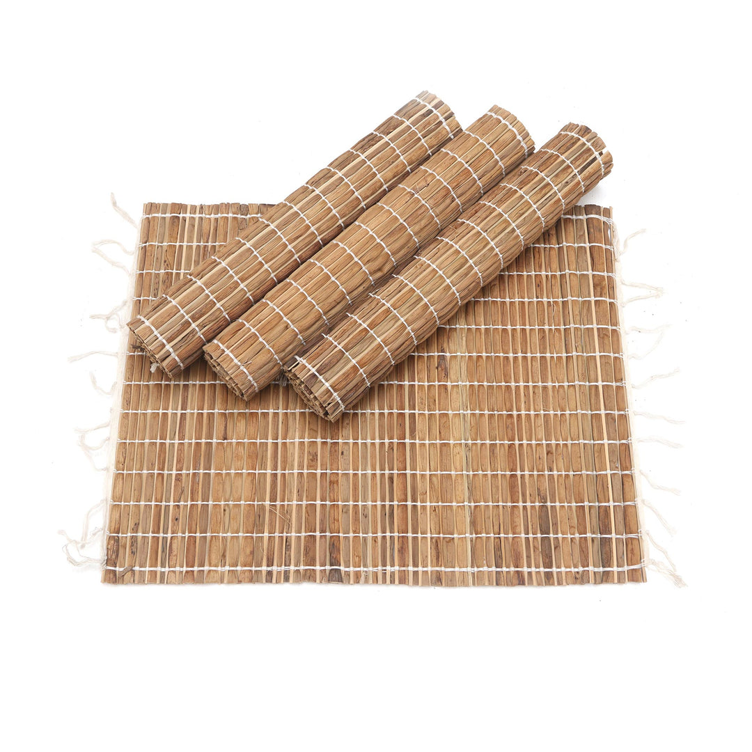 Set of 4 Handwoven Natural Fiber Placemats - Tropical Traditions