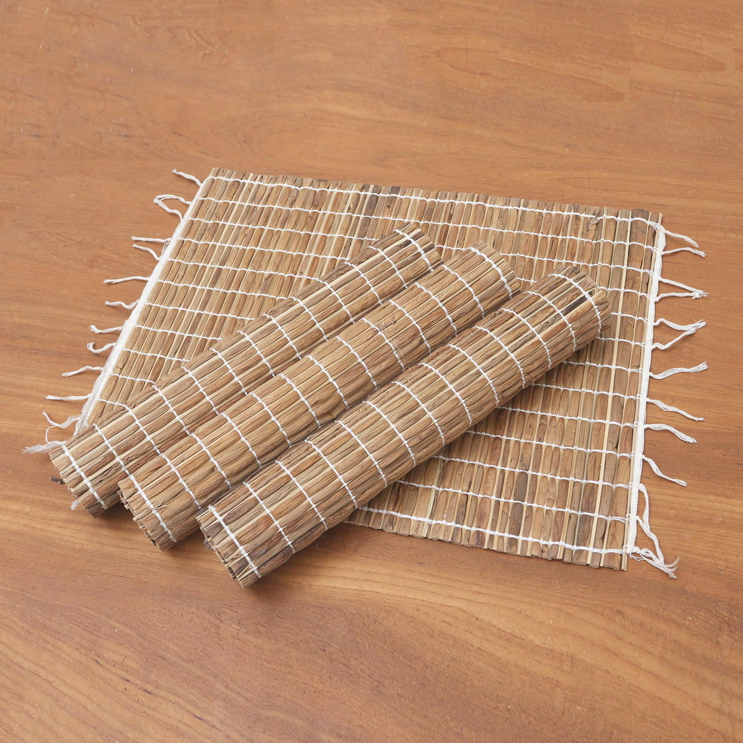 Set of 4 Handwoven Natural Fiber Placemats - Tropical Traditions