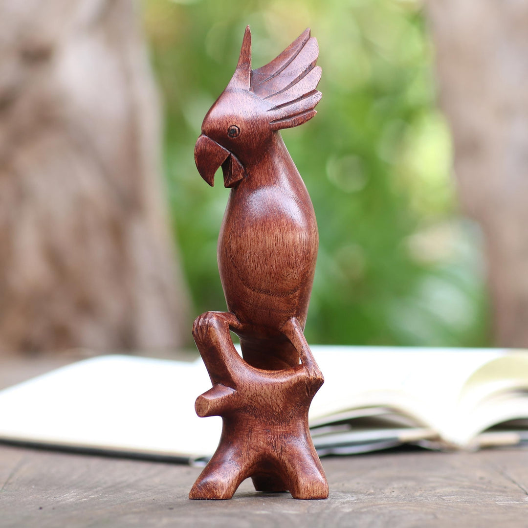 Hand Carved Suar Wood Cockatoo Statuette - Crested Cockatoo