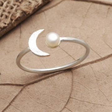 By the Moon in Silver