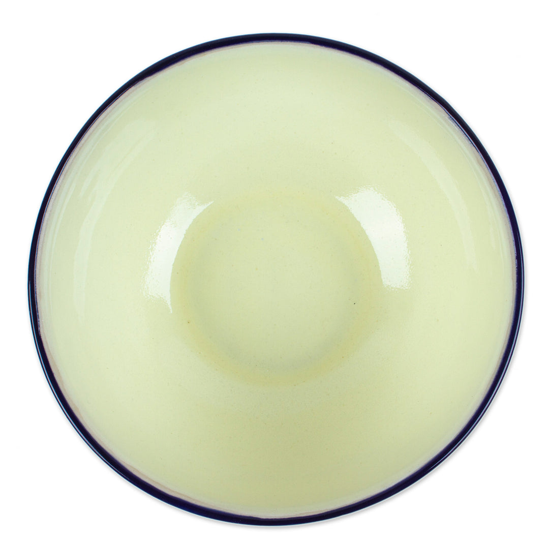 Hummingbird-Themed Ceramic Serving Bowl - Colibri