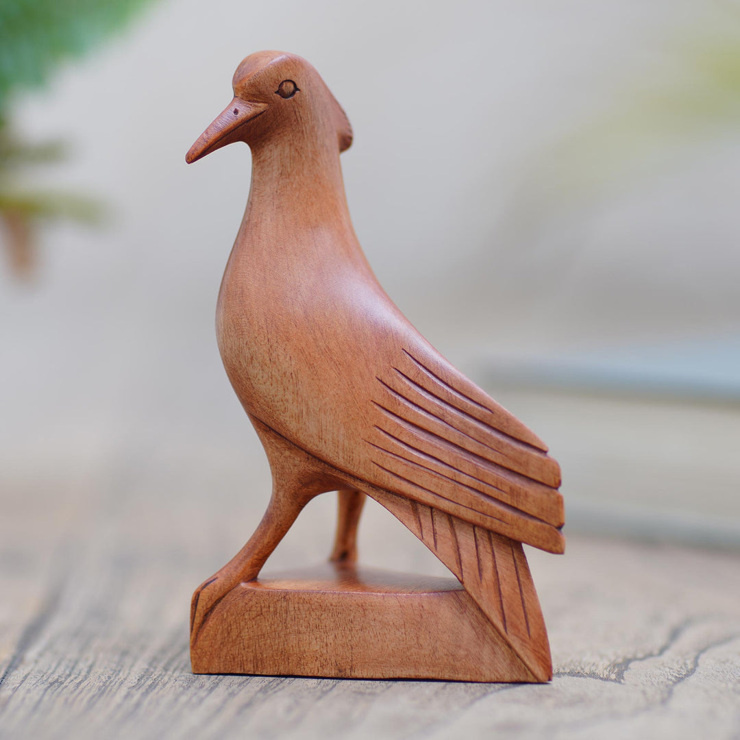 Baby Dove
