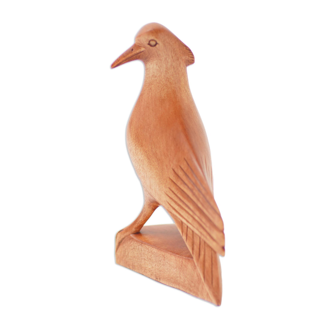 Hand Made Suar Wood Bird Sculpture - Baby Dove
