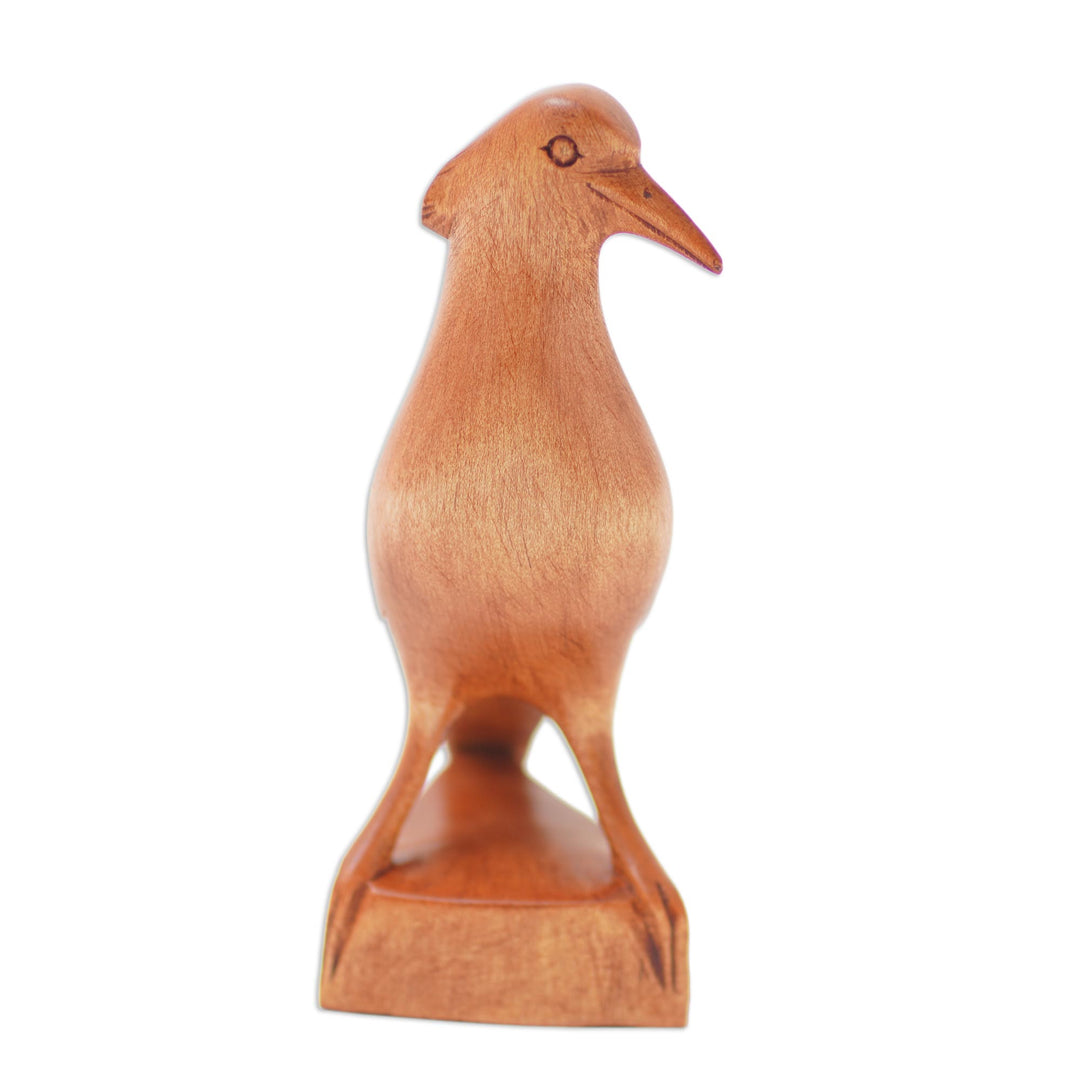 Hand Made Suar Wood Bird Sculpture - Baby Dove