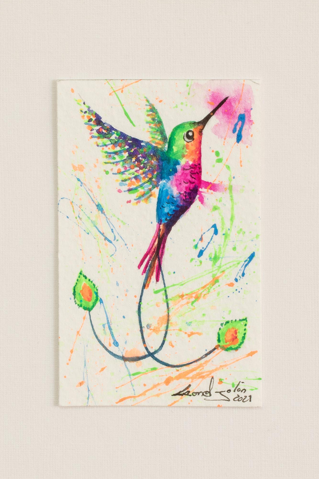Colorful Hummingbird