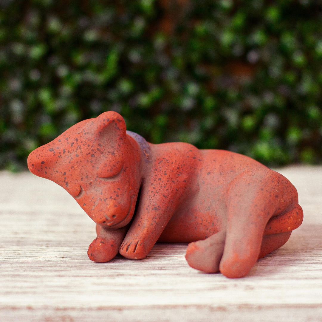 Tlachichi Puppy