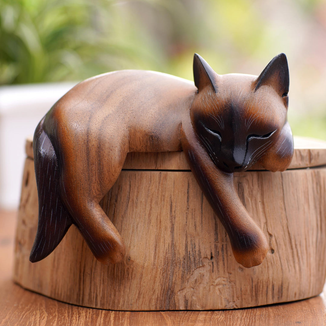 Sleeping Feline