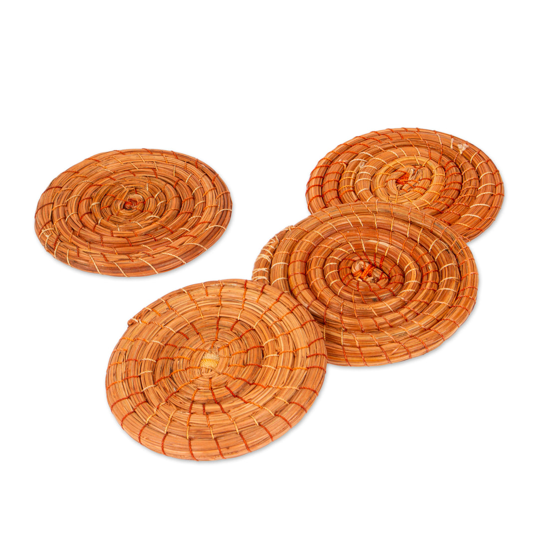 Natural Pine Needle Coasters (Set of 4) - Forest Cheer