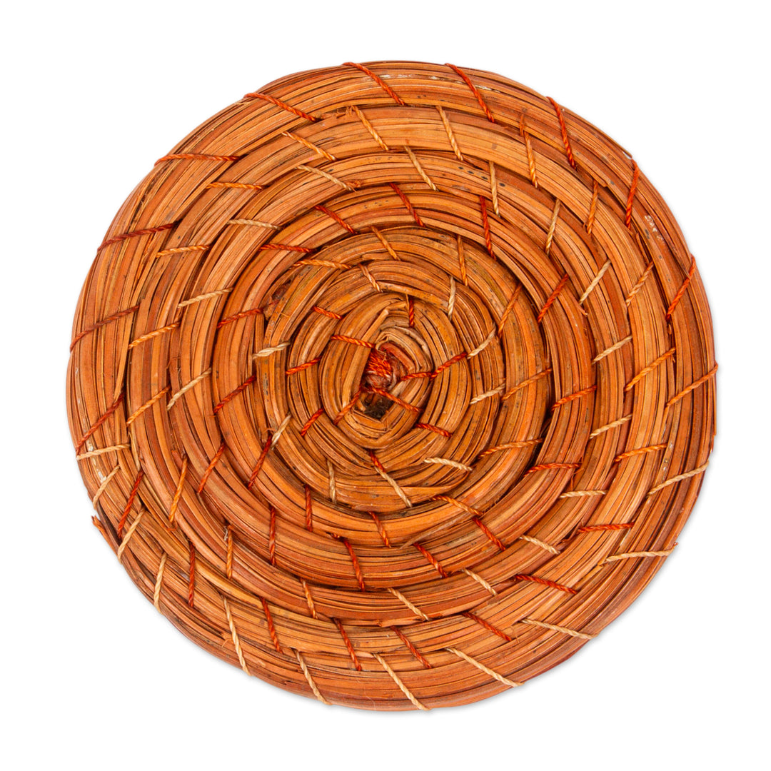 Natural Pine Needle Coasters (Set of 4) - Forest Cheer