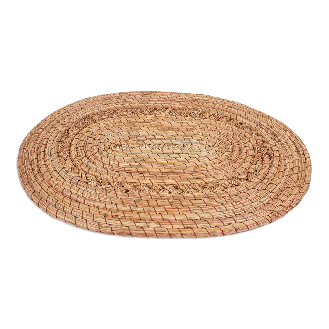 Handmade Pine Needle Placemats (Set of 4) - Taste of Home