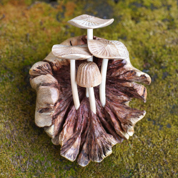 Young Mushrooms
