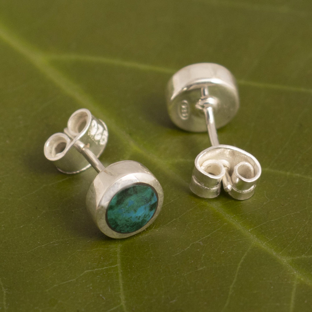 Natural Chrysocolla Earrings in Sterling Silver - High Point