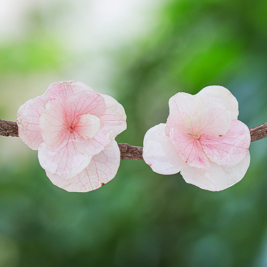 Blooming Hydrangea