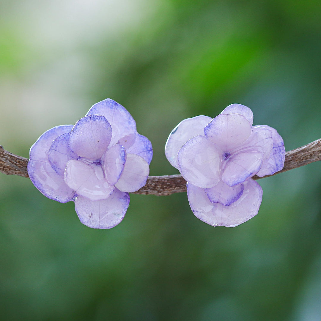 Purple Hydrangea