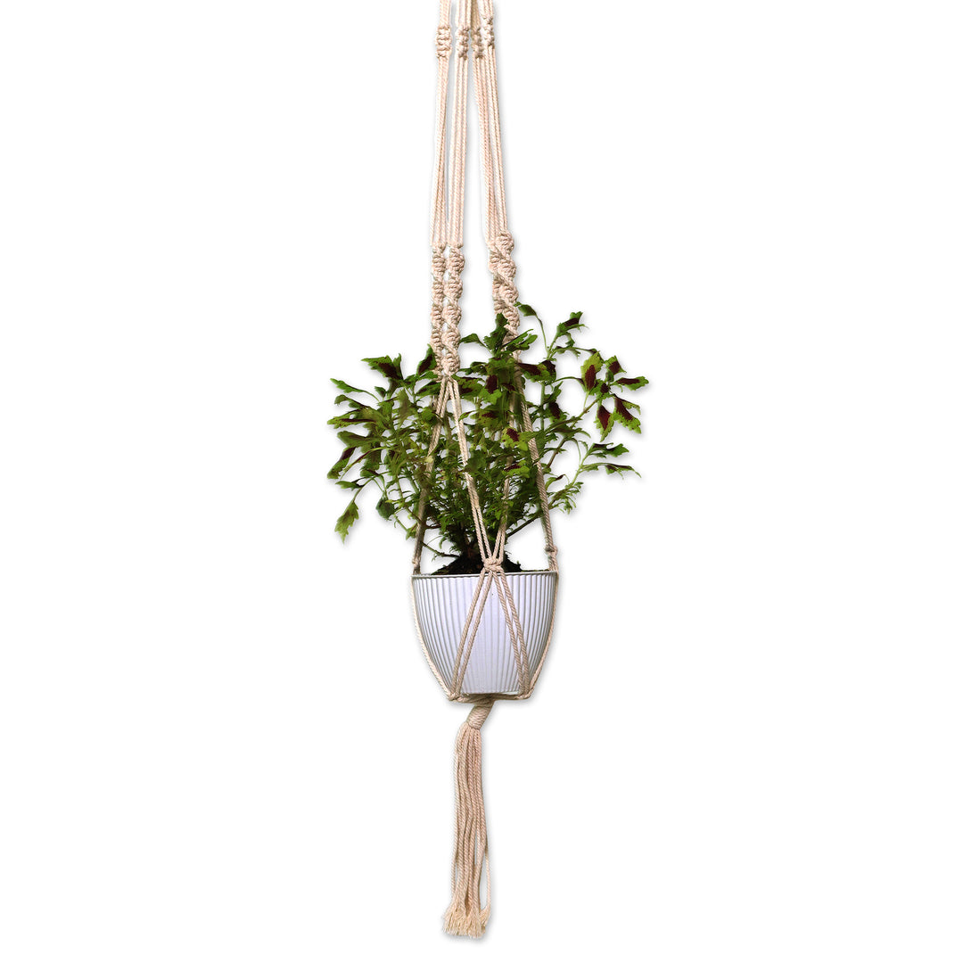 Hand-Woven Cotton Plant Hanger from Bali - Lounging Plant
