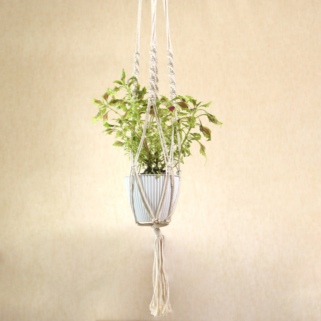 Hand-Woven Cotton Plant Hanger from Bali - Lounging Plant