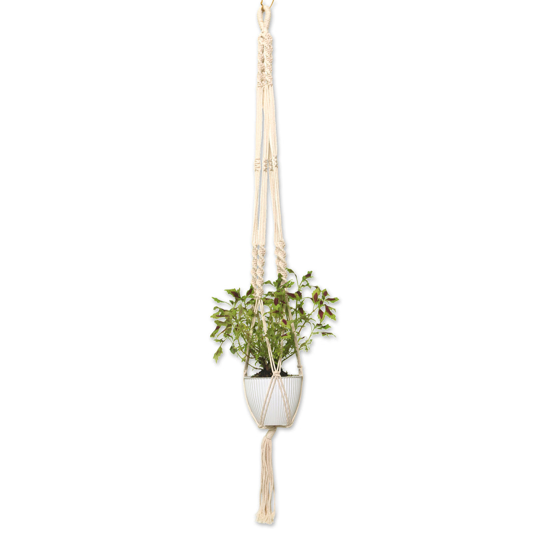Hand-Woven Cotton Plant Hanger from Bali - Lounging Plant
