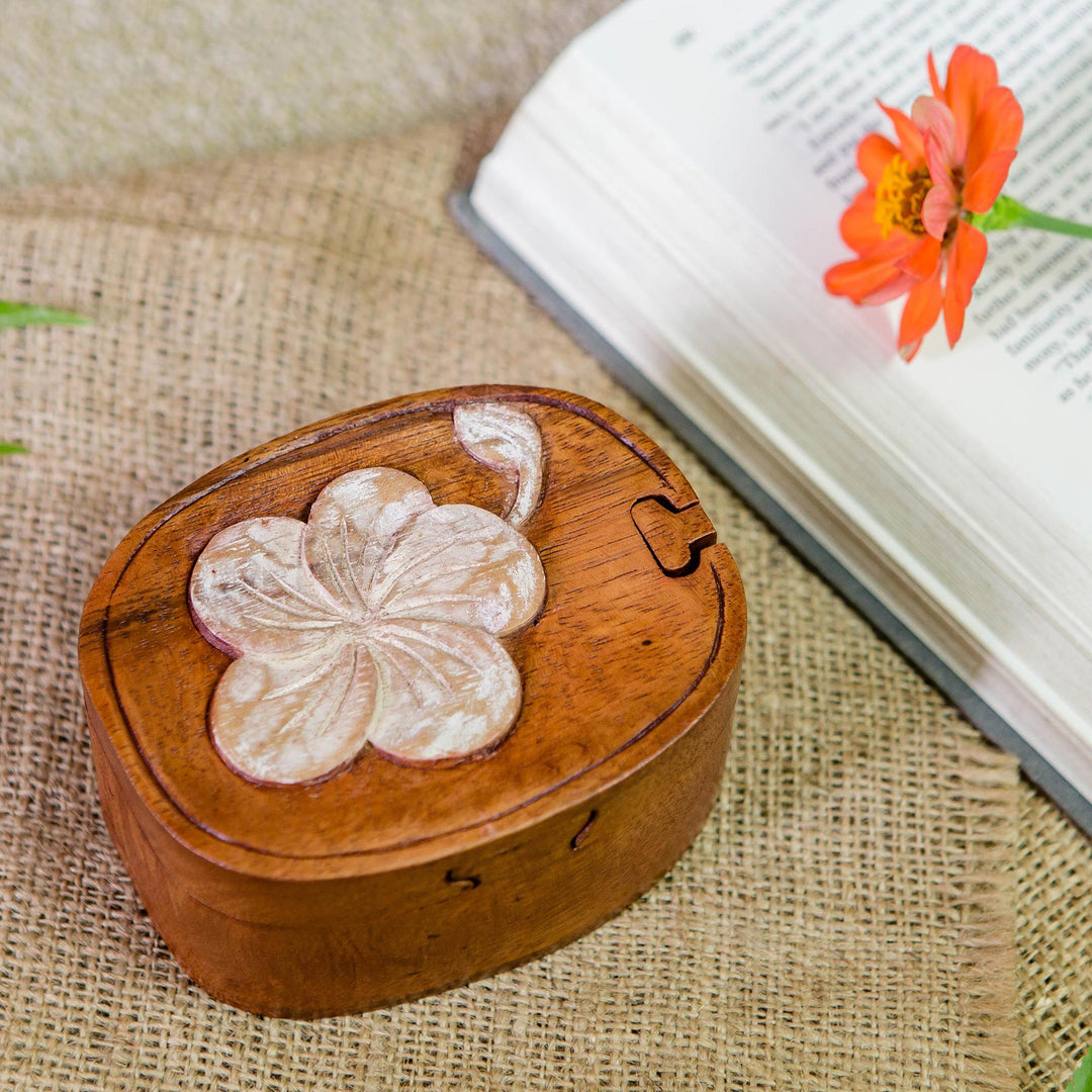 Soft Frangipani