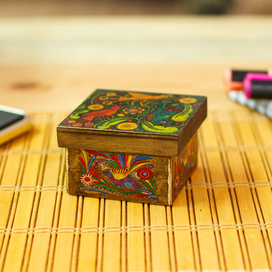 Otomi Flight
