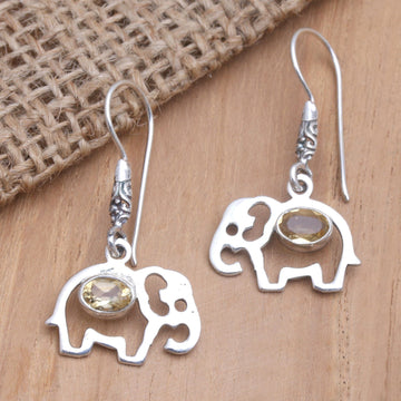 Elephant Surprise
