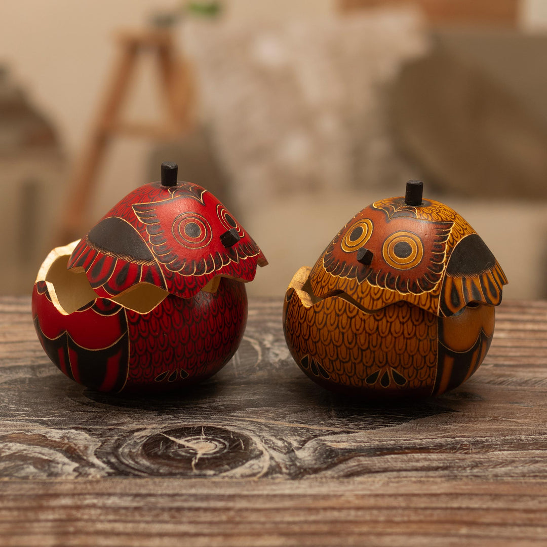 Decorative Owl Figures of Dried Mate Gourds from Peru (Pair) - Fortunate Owls