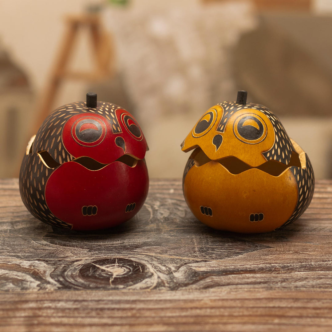 Decorative Owl Figures of Dried Mate Gourds from Peru (Pair) - Singing Owls