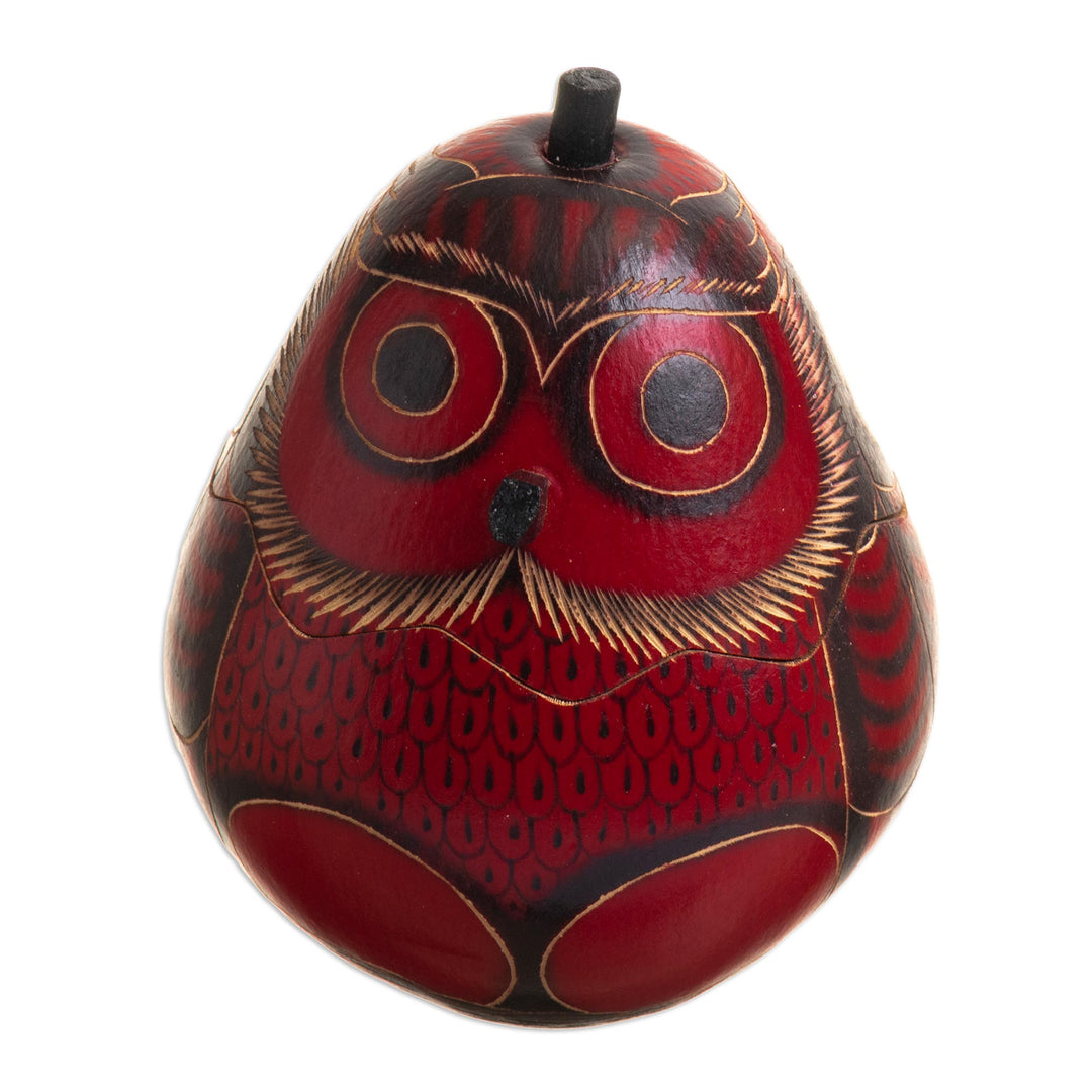Dried Mate Gourd Box Painted in an Owl Motif from Peru - Paunchy Red Owl