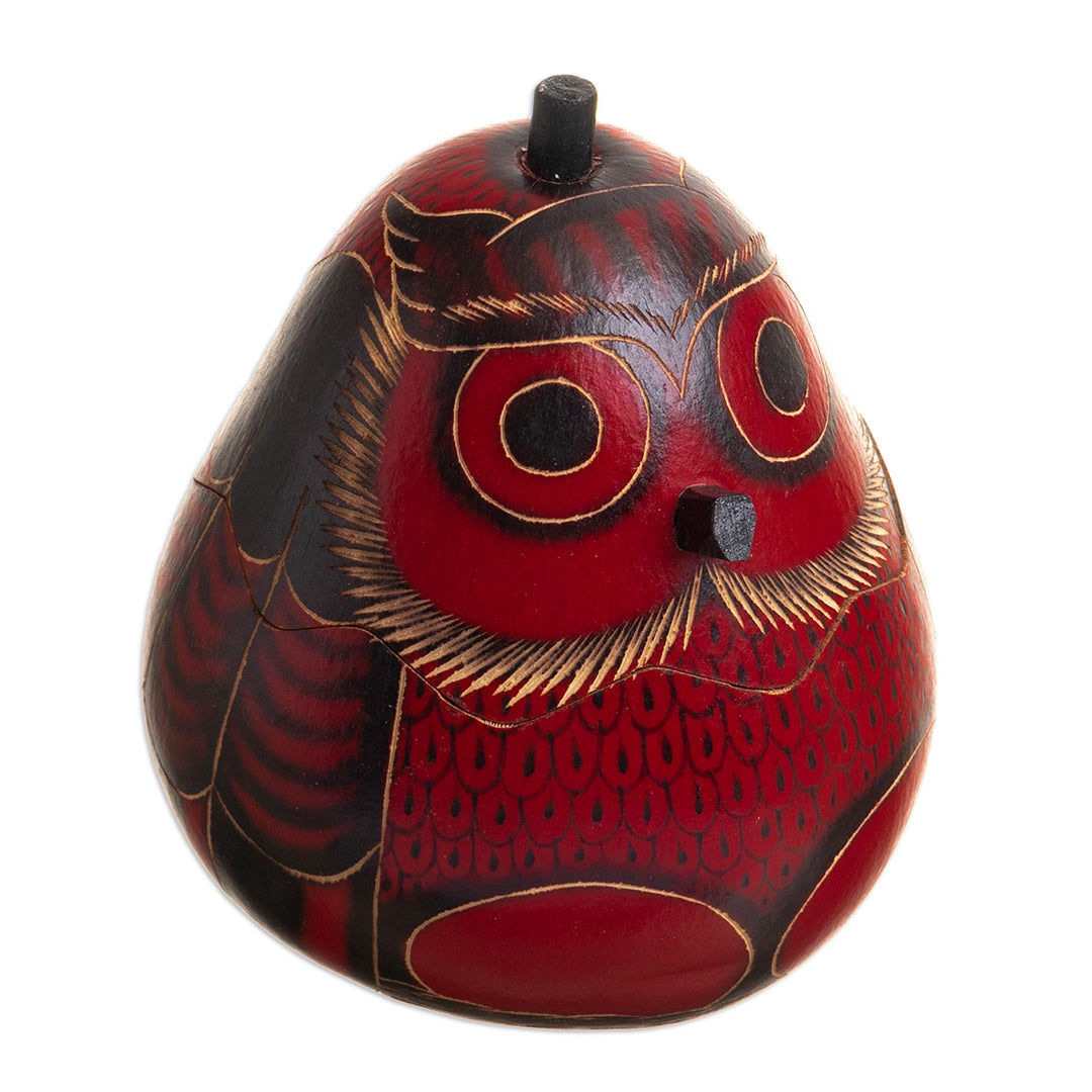 Dried Mate Gourd Box Painted in an Owl Motif from Peru - Paunchy Red Owl