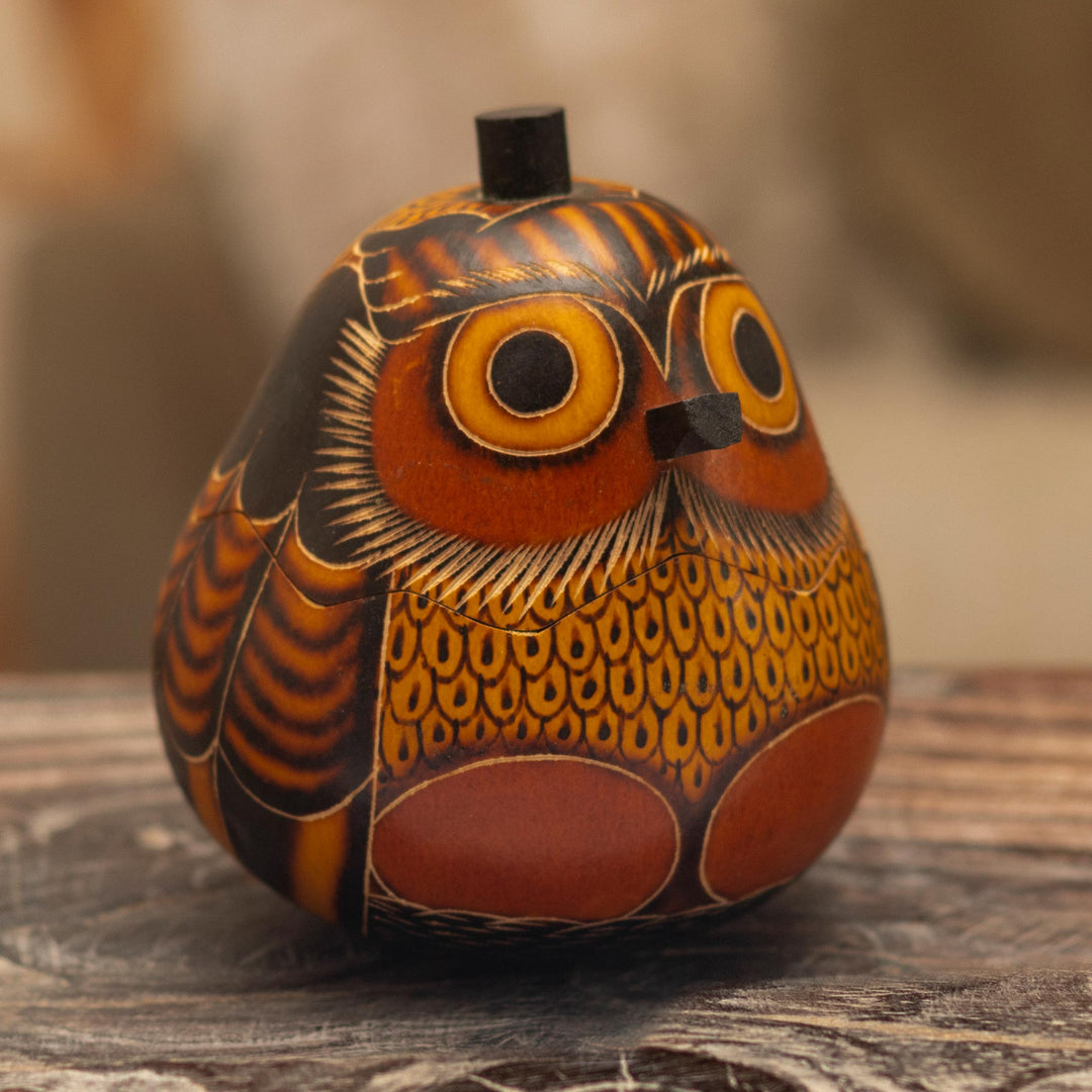 Owls Wisdom