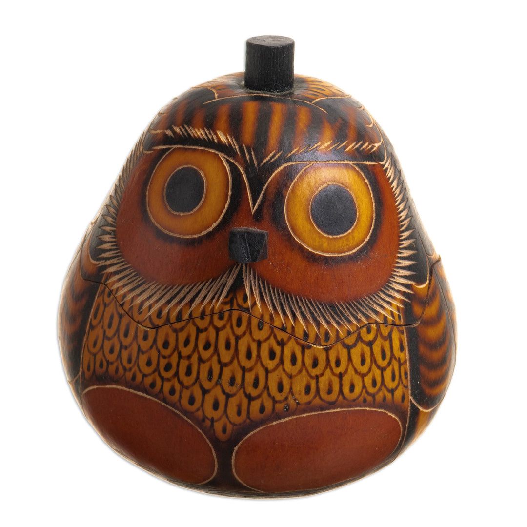 Mate Gourd Owl Decorative Container - Owl's Wisdom