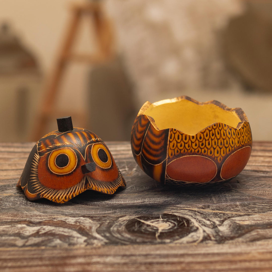 Mate Gourd Owl Decorative Container - Owl's Wisdom