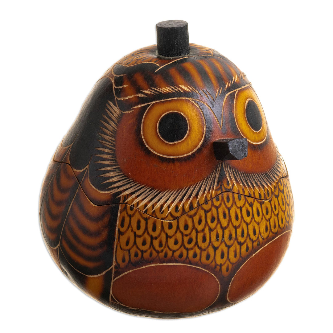 Mate Gourd Owl Decorative Container - Owl's Wisdom