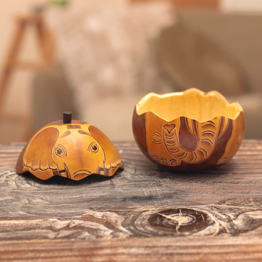 Dried Gourd with Burned Image of an Elephant from Peru - Earth Tone Elephant