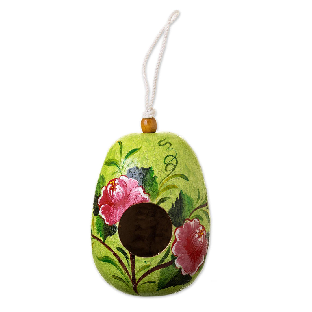 Dried Mate Gourd Green Hand Painted Birdhouse from Peru - Avian Condo