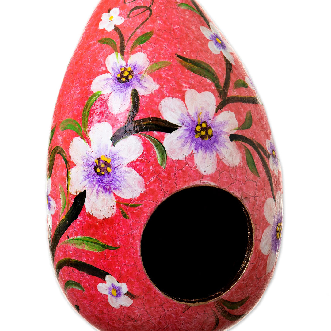 Hand Painted Crackled Red Dried Gourd Birdhouse from Peru - Spring Rose Condo