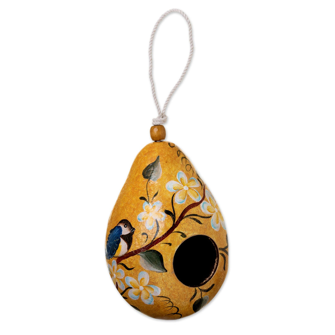 Hand Painted Cut Dried Gourd Birdhouse from Peru - Citrus Condo