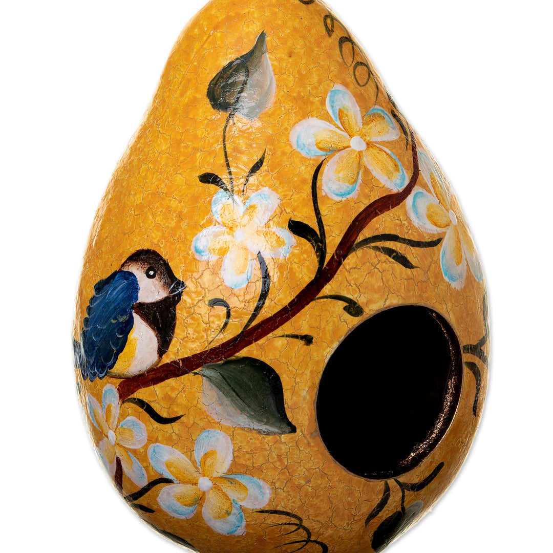 Hand Painted Cut Dried Gourd Birdhouse from Peru - Citrus Condo