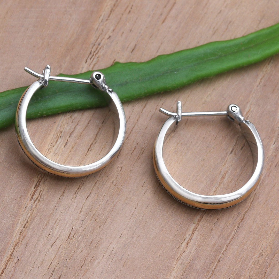 Gold-Accented Sterling Silver Hoop Earrings - Free and Easy